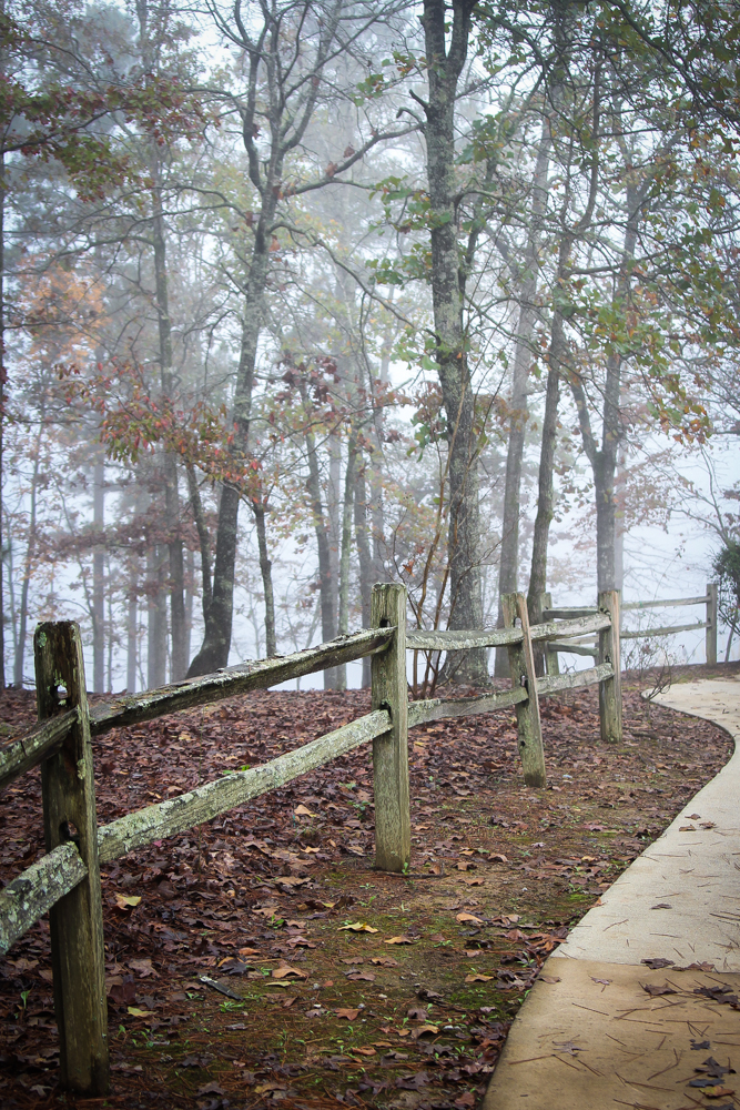 Split rail fence in the fog