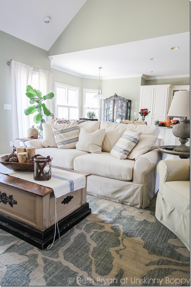 Pretty living room with white couch