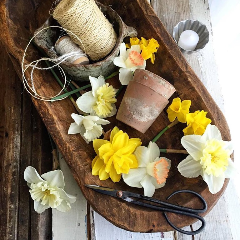 Daffodils in dough bowl
