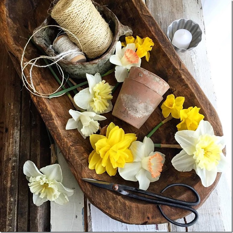 Cutting daffodils for bouquets | Cozy Spring Home Tour | www.unskinnyboppy.com