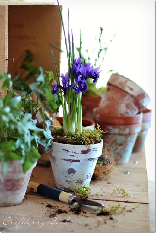 DIY aged terracotta pots