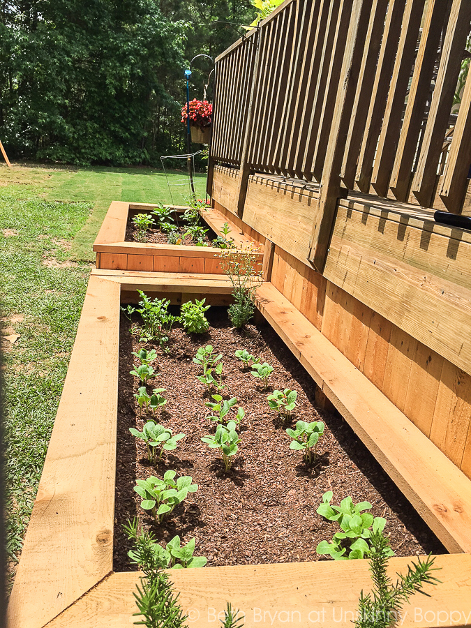 Backyard landscaping with raised garden beds-9