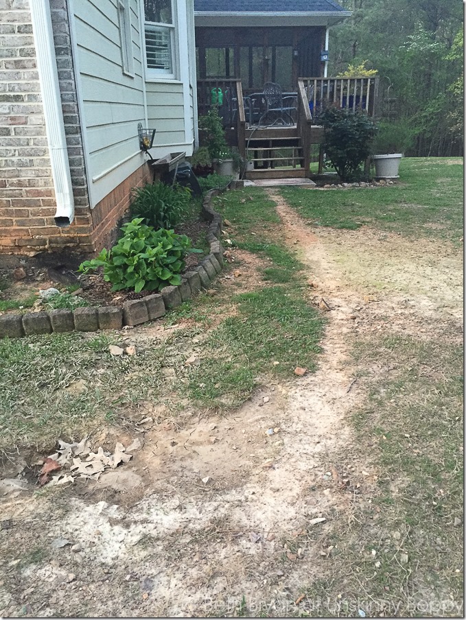 Backyard makeover BEFORE pics-4