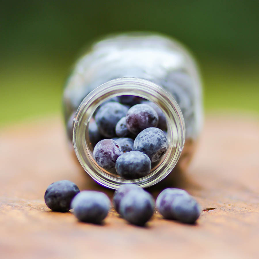 Blackberries and blueberries (2 of 4)