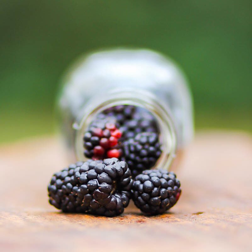 blackberries