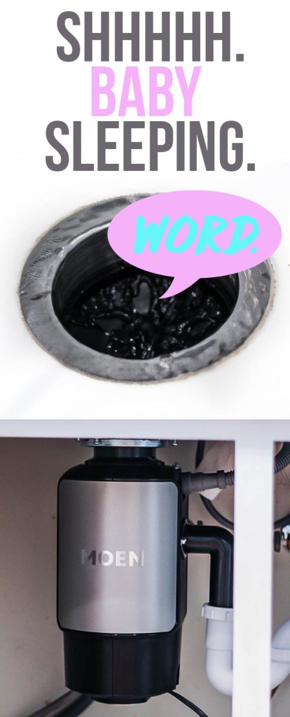 Quietest Garbage Disposal Ever