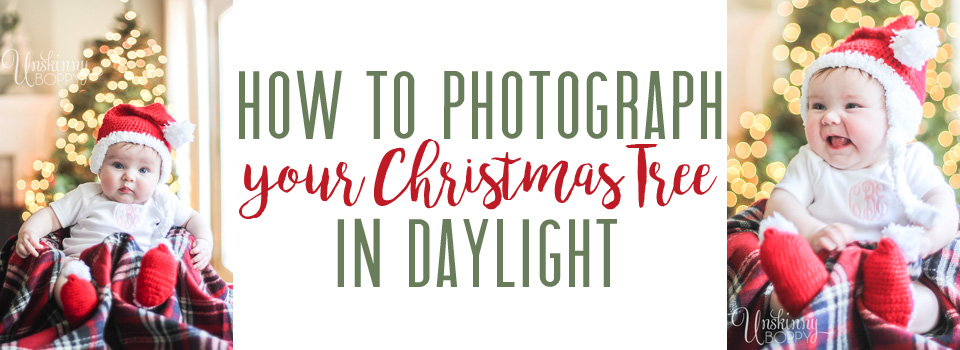 how-to-photograph-christmas-tree-in-daylight