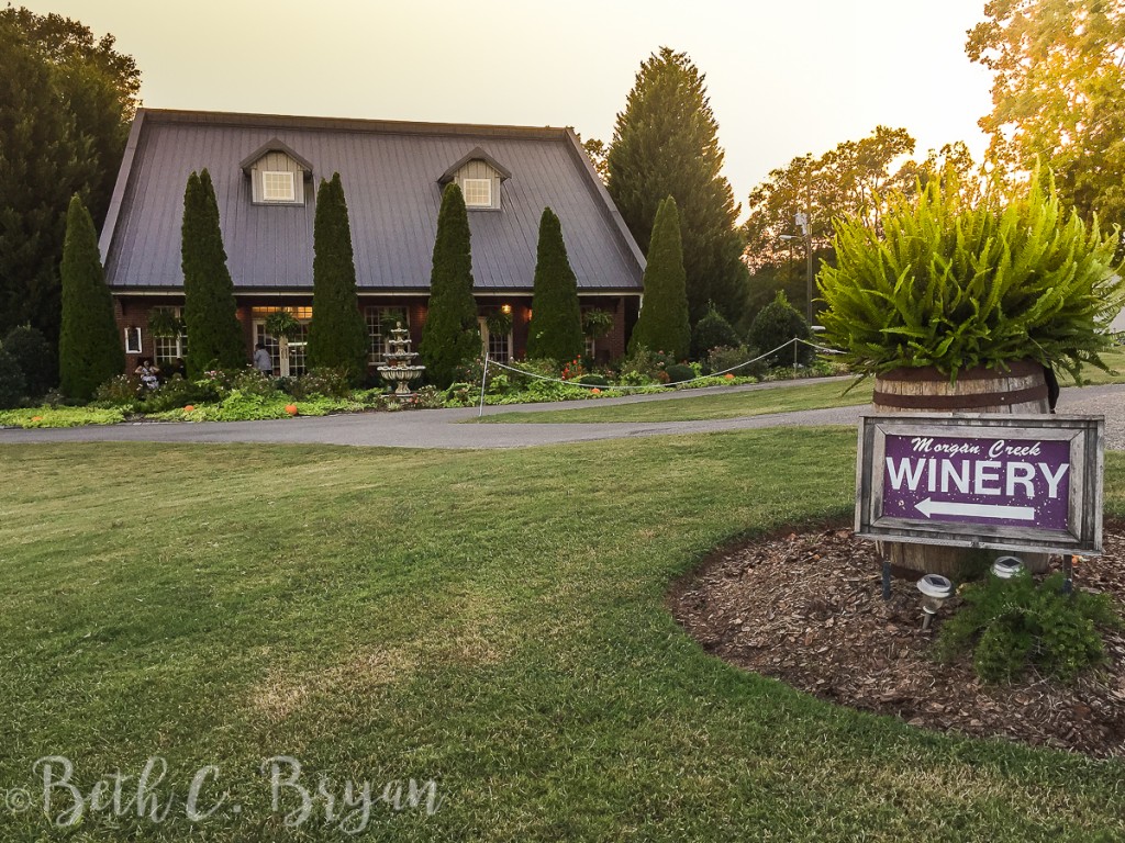 morgan-creek-winery-harpersville-alabama-3