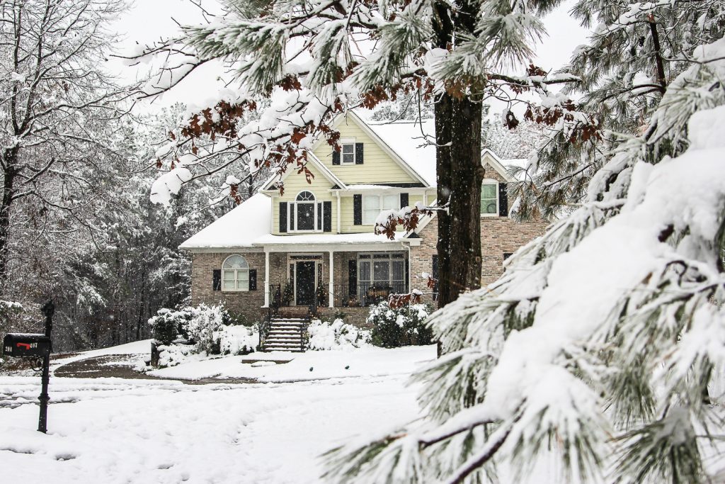 Snowing in the pines