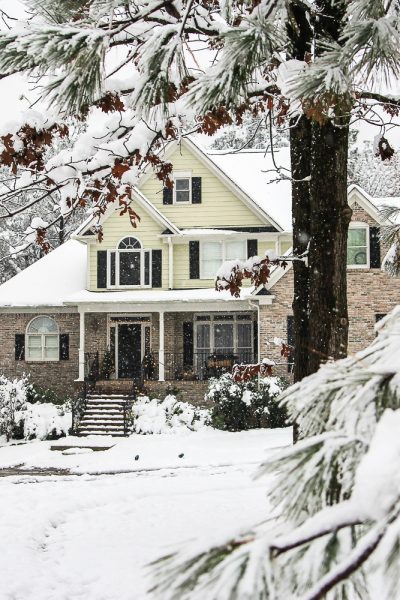 Snowing in the pines