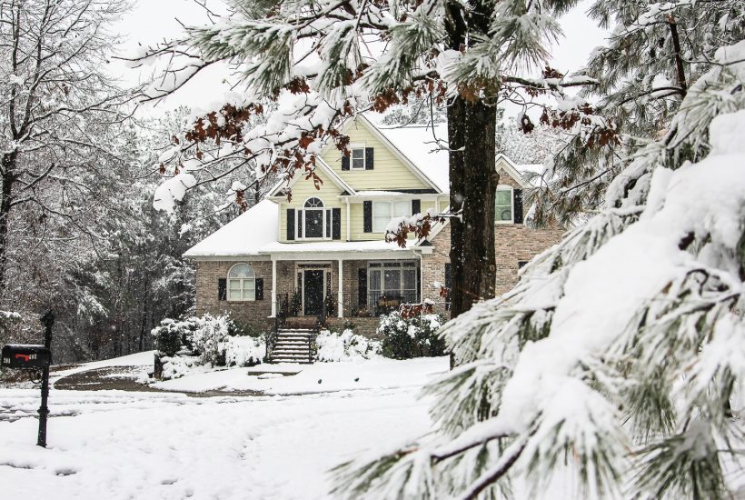 Snowing in the pines