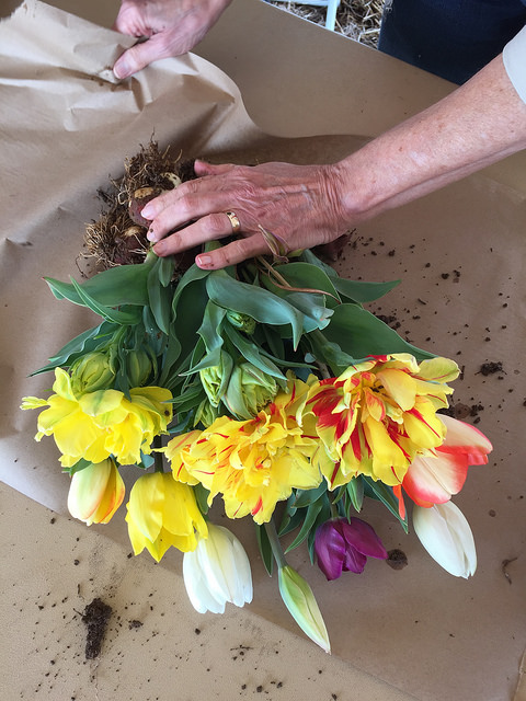 Tulips in a brown paper wrapper