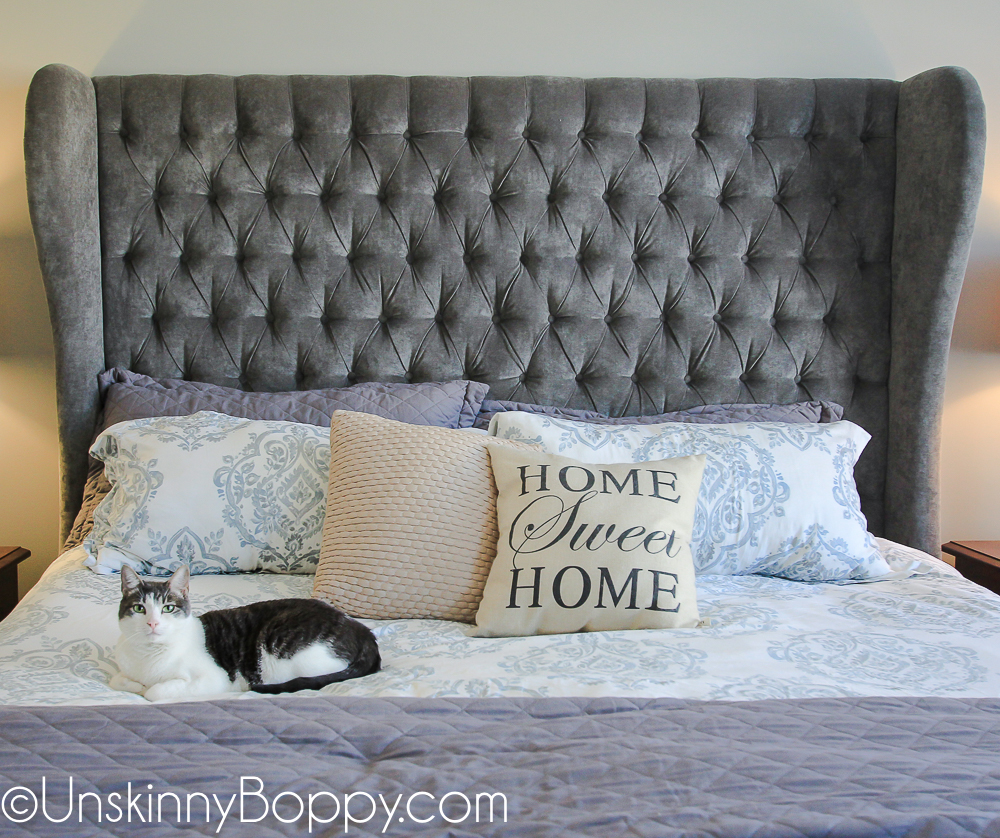 Pretty grey cat sitting on master bed with tufted grey headboard