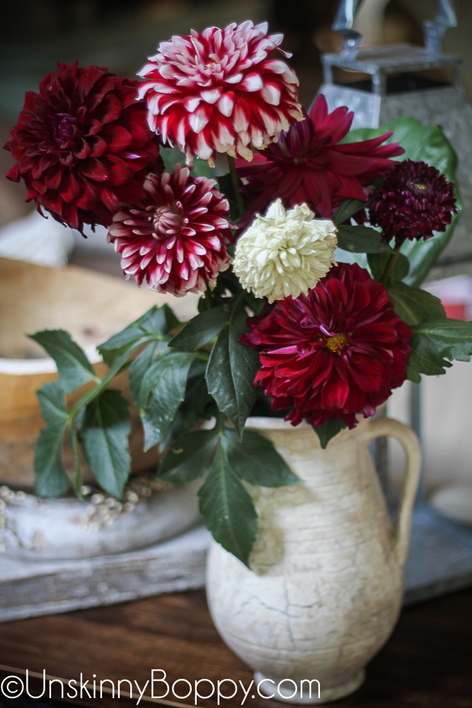 Dinnerplate Dahlias in a white pitcher