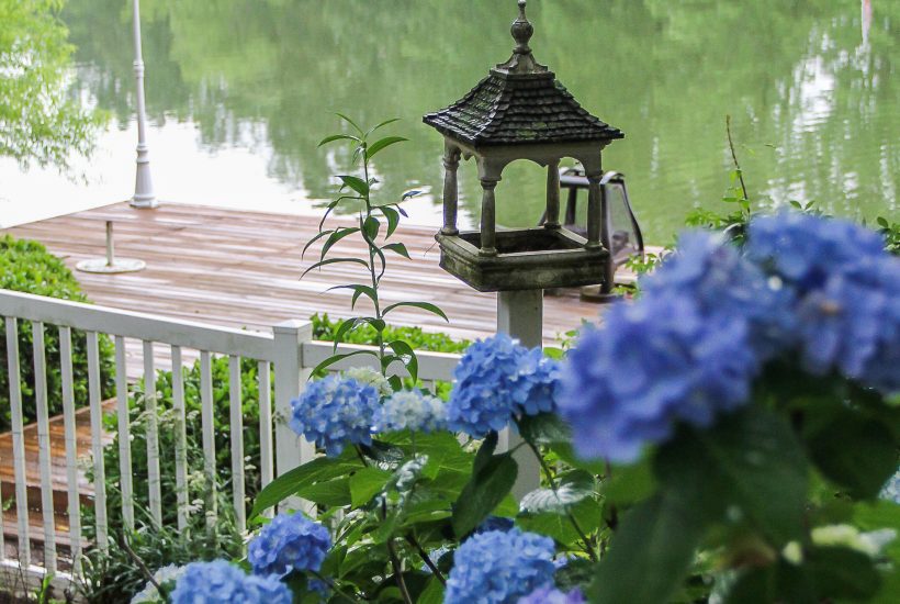 Top Five Shade Loving Plants