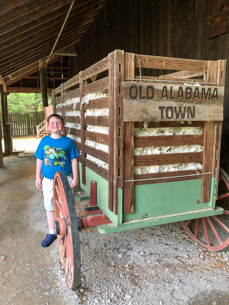 Cotton at Old Alabama Town