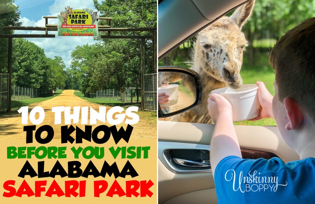 Things to know before you visit Alabama Safari Park