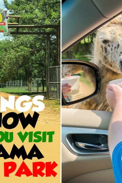 Things to know before you visit Alabama Safari Park