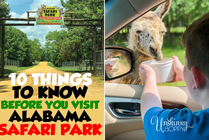 Things to know before you visit Alabama Safari Park