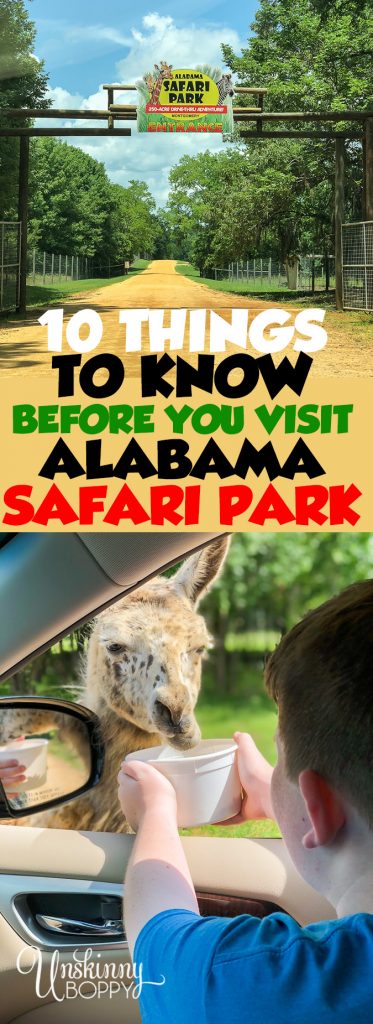 Things to know before you visit Alabama Safari Park 