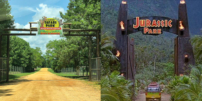 Alabama Safari Park vs jurassic park