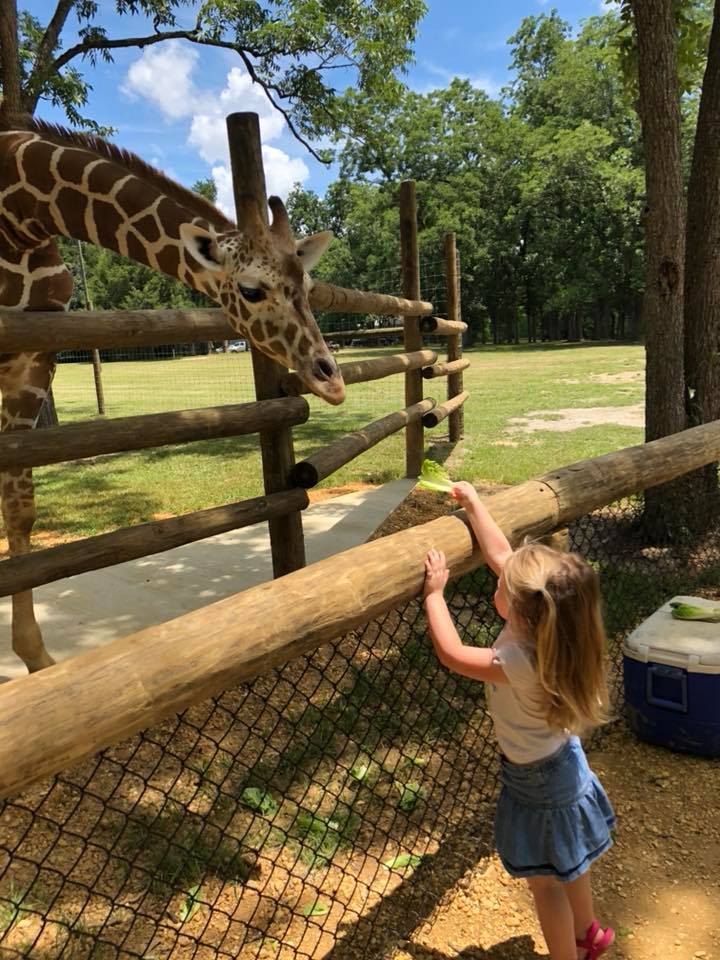 safari park alabama