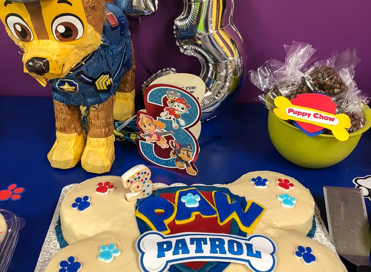 Paw Patrol birthday ideas-9