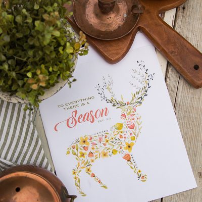 to everything there is a season-1