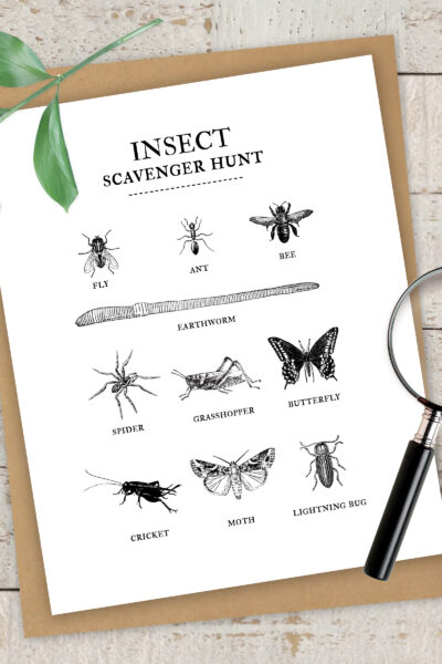 This Insect Scavenger Hunt is so much fun! You'll love the ease of this free printable and the kids will love finding the bugs!