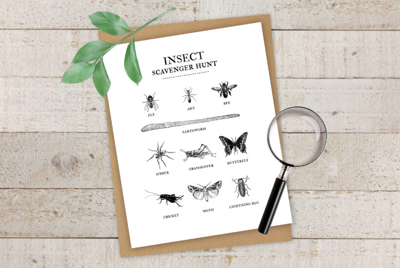 This Insect Scavenger Hunt is so much fun! You'll love the ease of this free printable and the kids will love finding the bugs!
