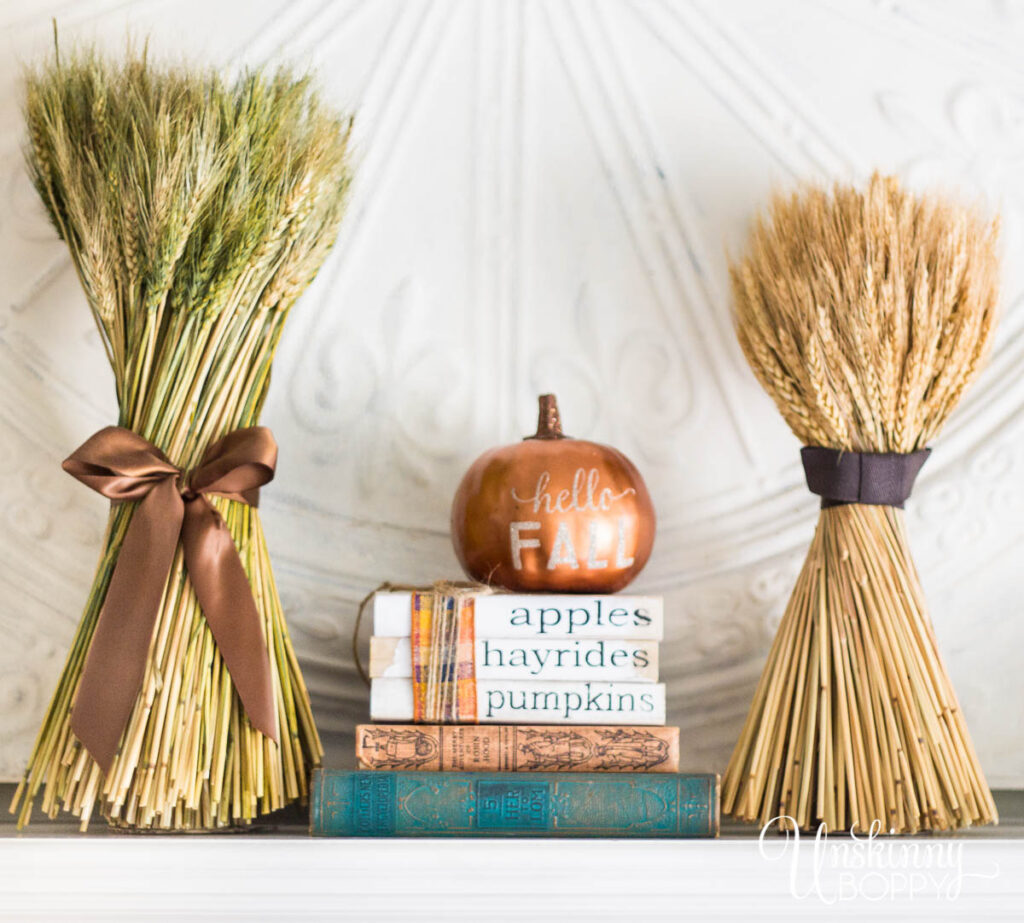 Apples Pumpkins Hayrides Books 