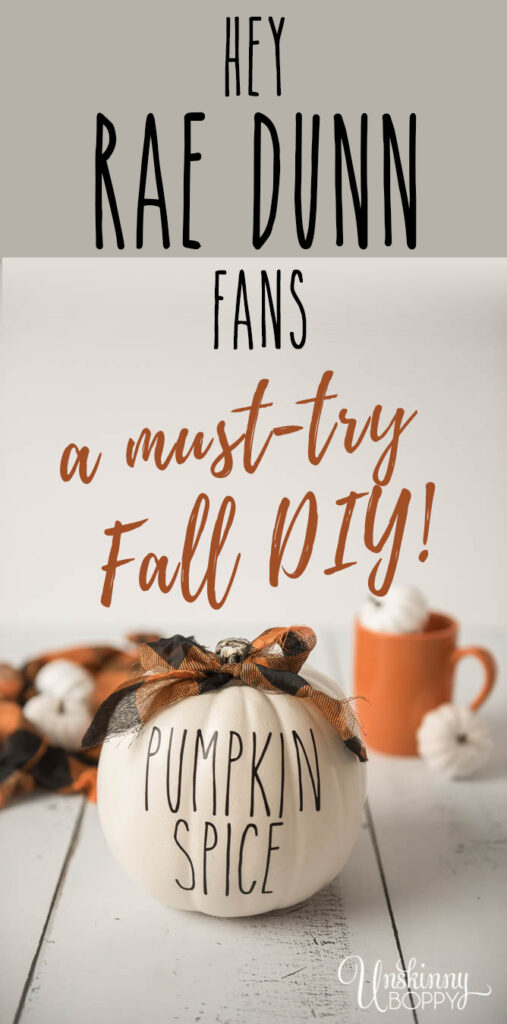 https://bethbryan.com/wp-content/uploads/2019/10/Rae-Dunn-FALL-DIY-Pumpkin-Spice-Cricut-Craft-Pin-507x1024.jpg