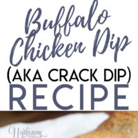 Crockpot Buffalo Chicken Dip Recipe (aka Crack Dip)