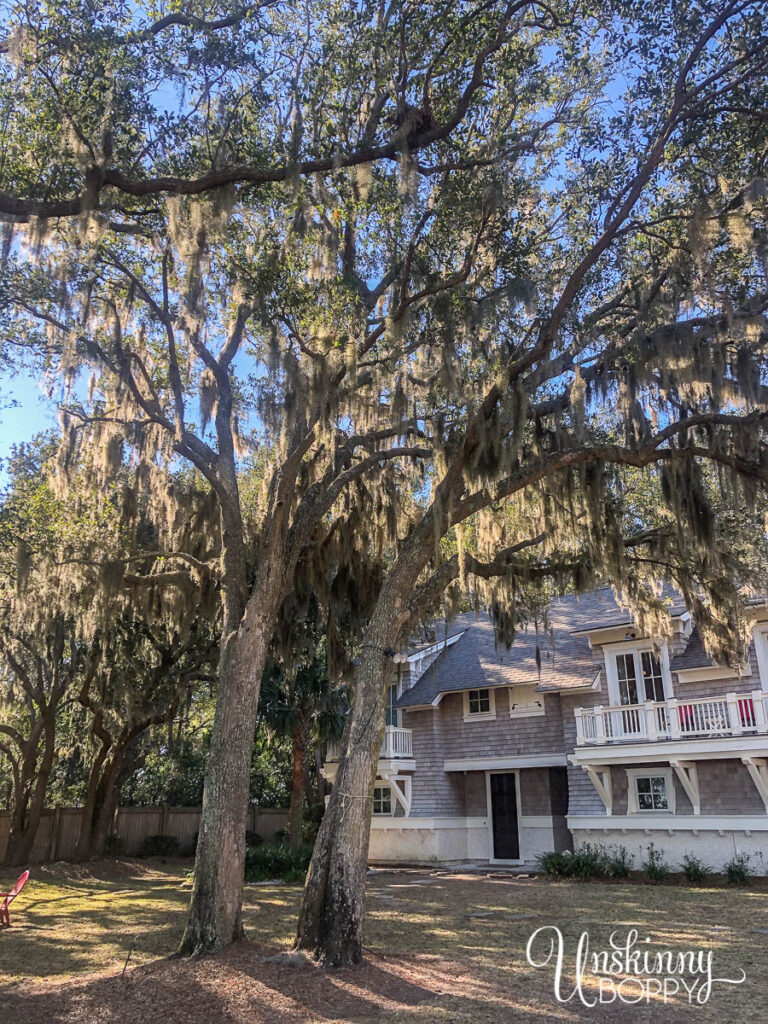 Best Hilton Head AirBNB 