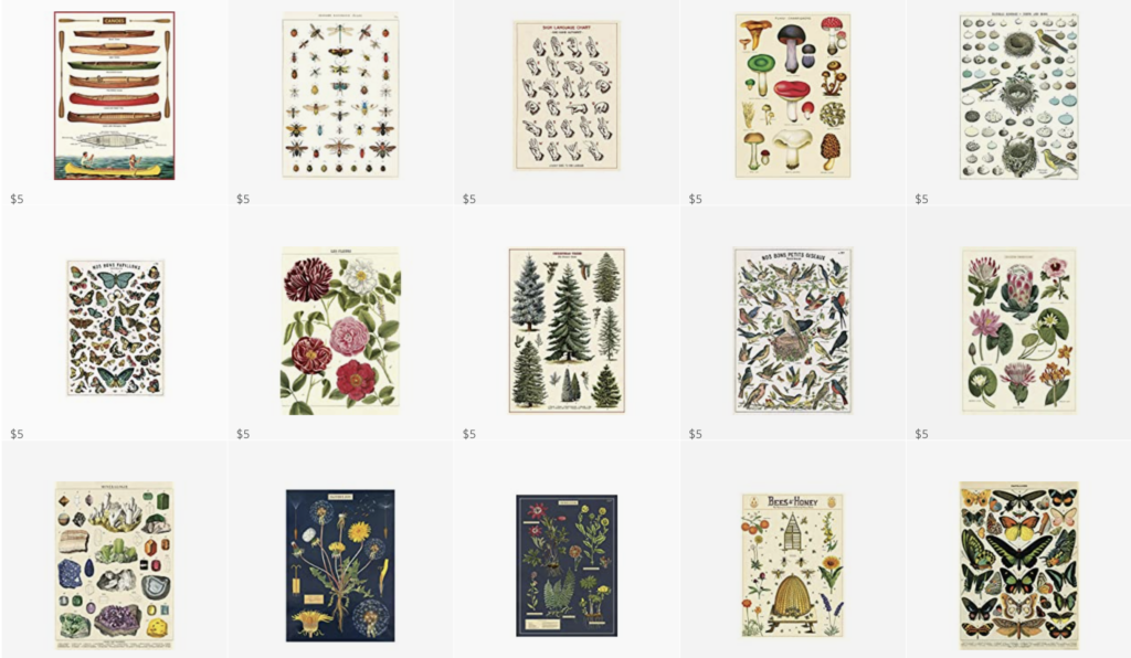 Botanical Posters that are actually Cavallini Wrapping Paper prints for just $5.00 on each on Amazon! 