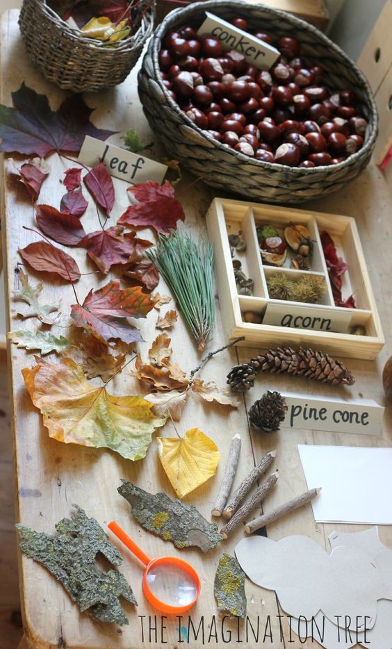 Autumn themed nature station for exploring the montessori way