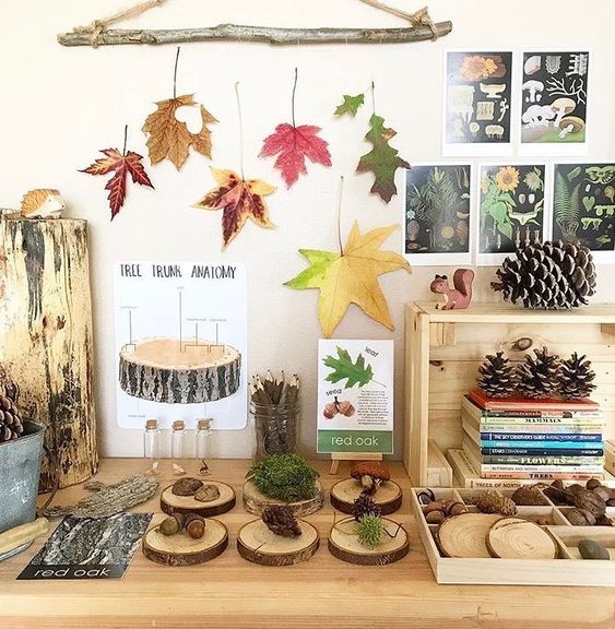 Autumn theme nature station