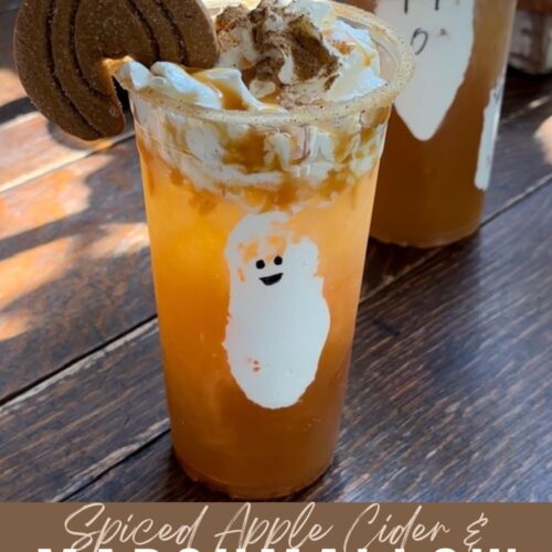 Marshmallow Ghosts in Glass with Spiced Apple Cider Beth Bryan
